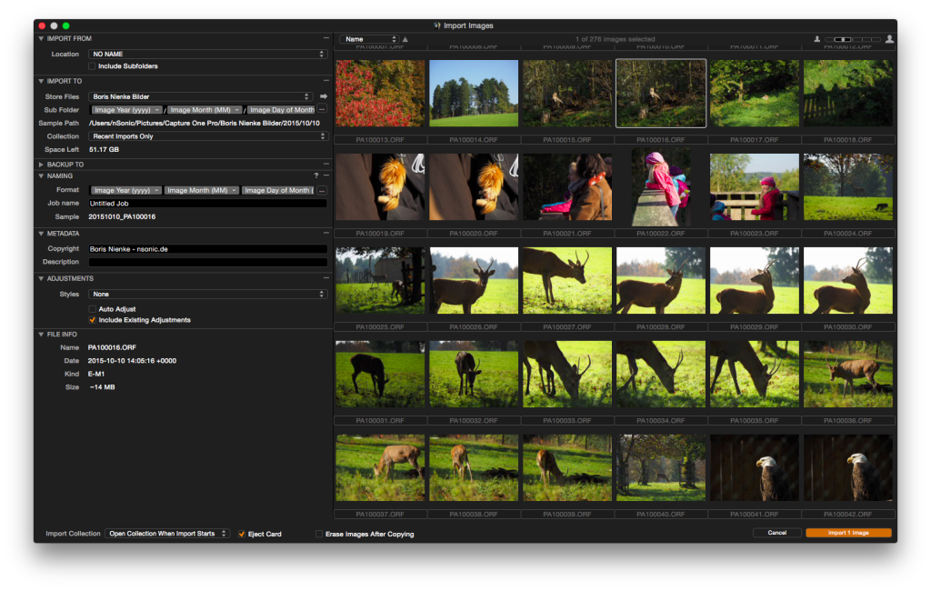 Capture One Pro 8 – Import-Dialog. 