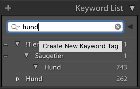 Lightroom: Doppelte Stichwörter entstehen beim Import aus anderen Katalogen
