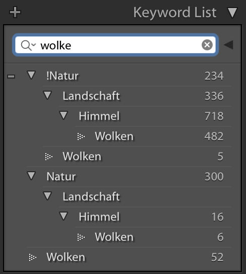 Lightroom: Doppelte Stichwörter entstehen beim Import aus anderen Katalogen