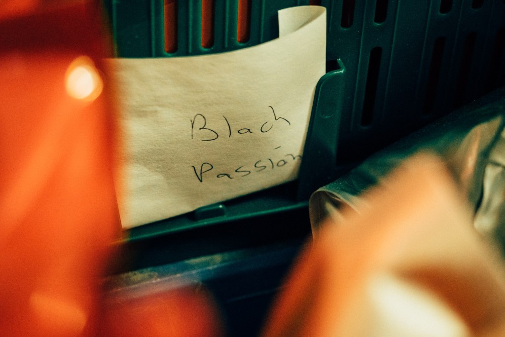 Black Passion